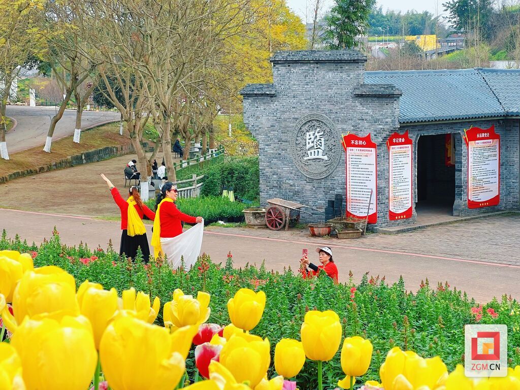 游客置身郁金花海中拍照留念 尽享田园诗意 记者 宋姿熠 摄.jpg