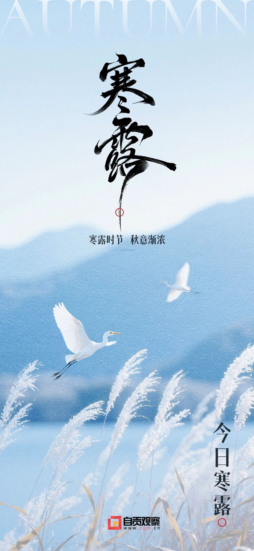 寒露节气祝福清新感静谧感全屏竖版海报AIGC.jpg