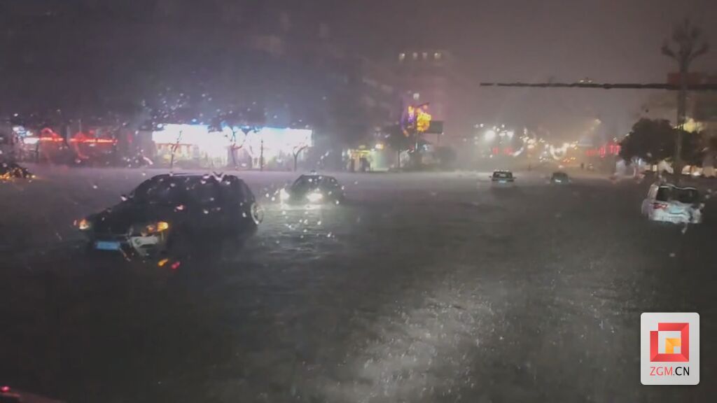 暴雨來襲︱自貢消防緊急出動(dòng)排澇救援.mp4_20240714_121842.965.jpg
