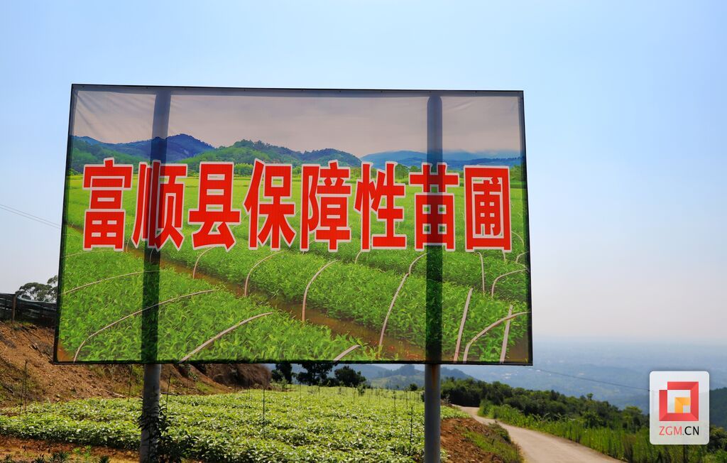 微信图片_20260706181327_5679_74.jpg
