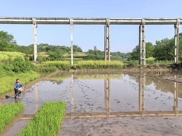 自贡市全力保障大春粮食作物灌溉用水