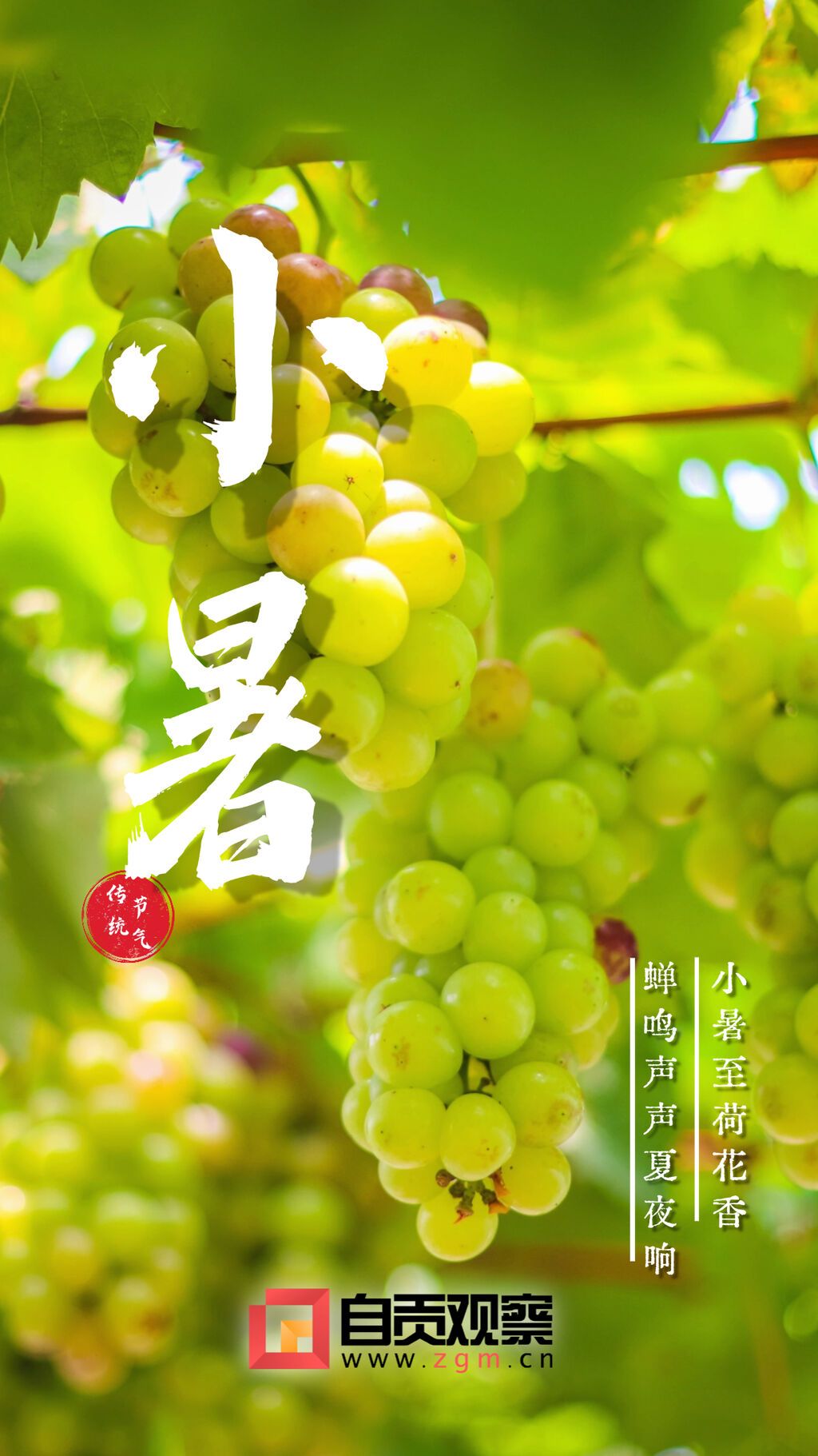 畫板 1.jpg