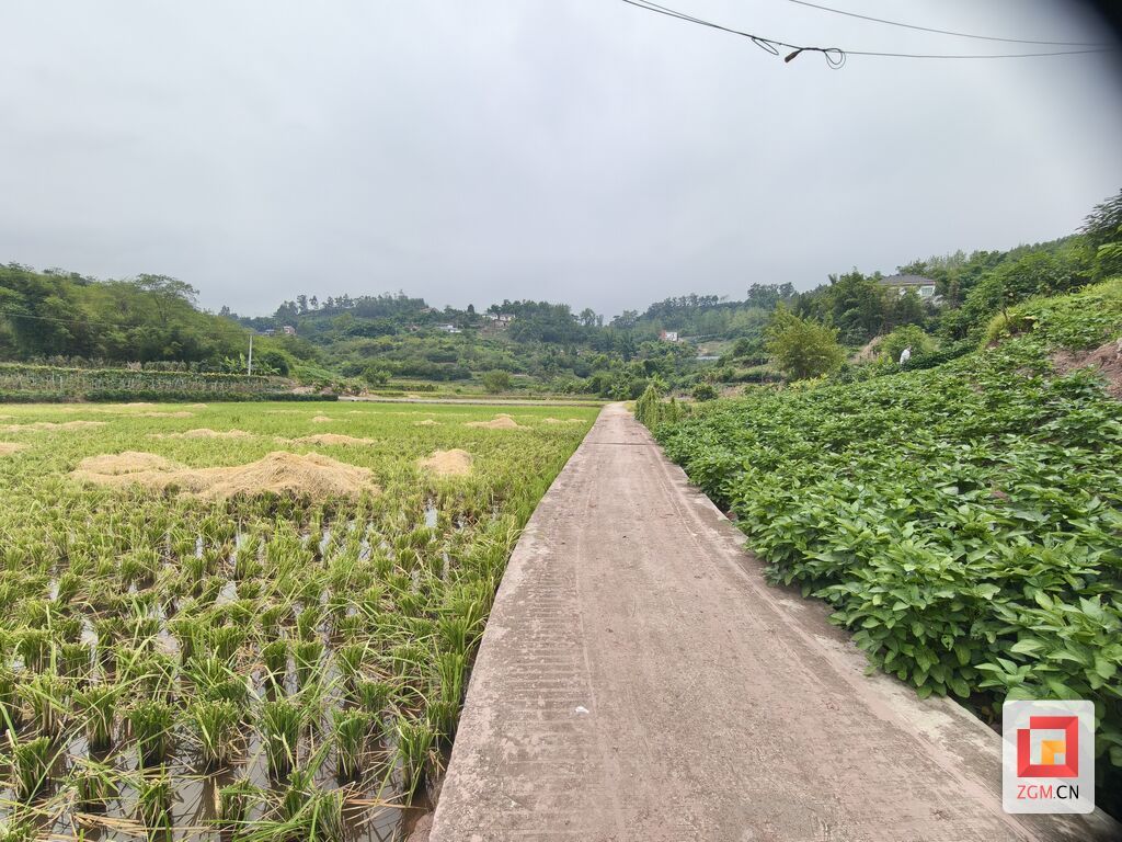 微信图片_20260817164152_709_172.jpg
