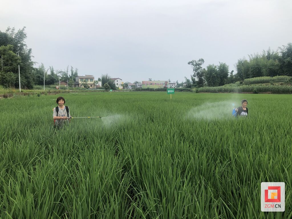 6cfd8ec861c5da7ae4c7eac941cac13.jpg