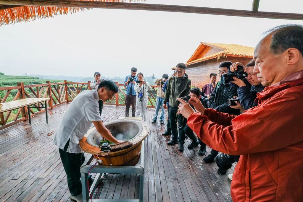 观摩炒茶.jpg