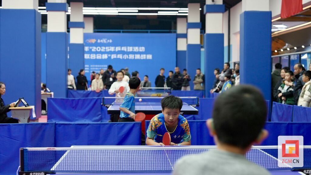 全神贯注 实习生 白可 摄.JPG