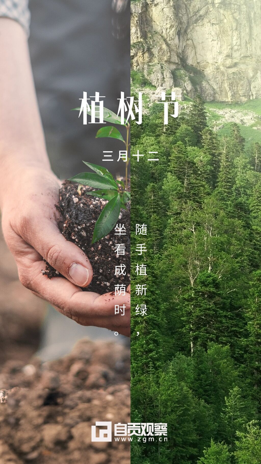 植樹節(jié)節(jié)日祝福手機(jī)海報(bào) (2).jpg