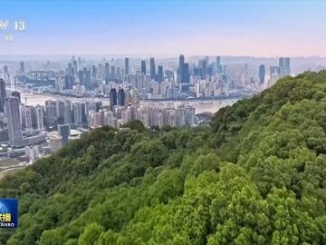 树立和践行正确政绩观丨深学细悟 在实干担当中践行初心使命