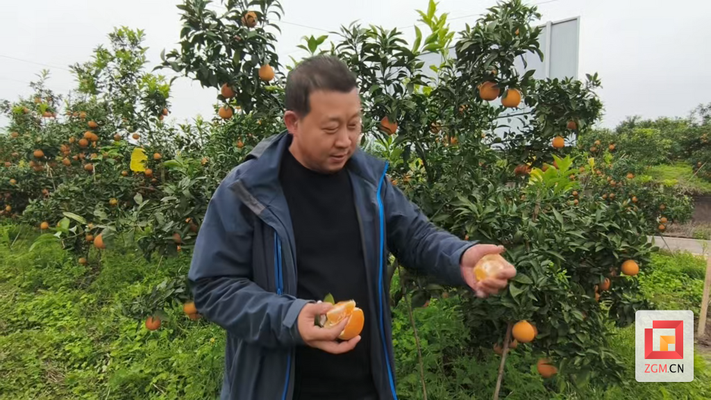 屏幕截图 2025-11-11 154650.png