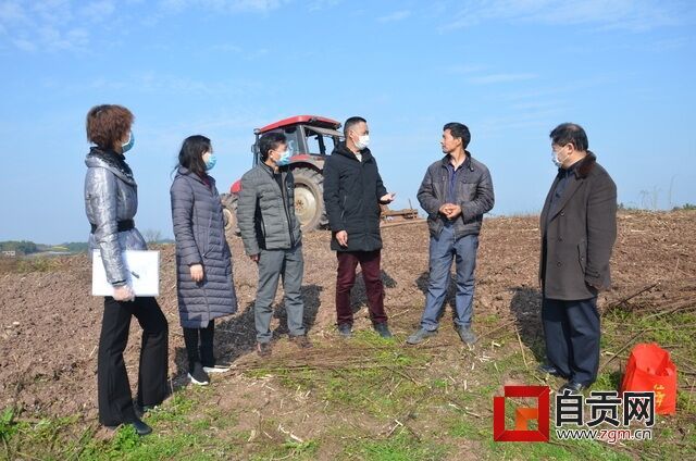 市縣農(nóng)機(jī)干部雙石調(diào)研機(jī)耕.JPG