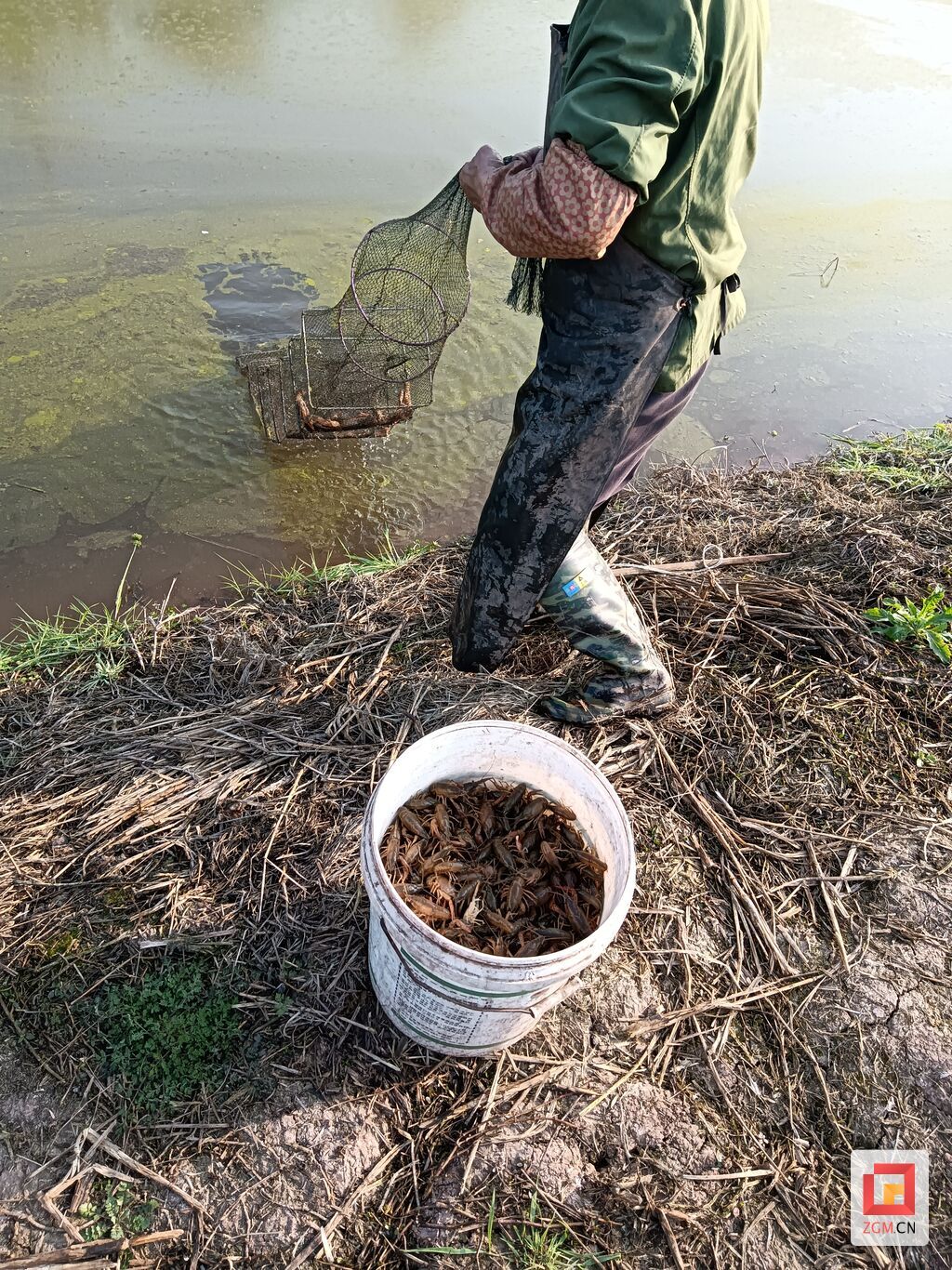 微信图片_20240407152002.jpg