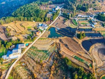 巴中平昌：深山“屠宰场”里的民生密码