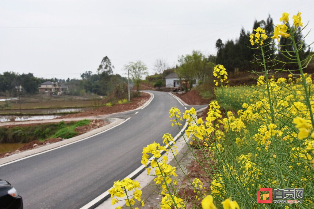 图：东佳镇境内完工的农村改善工程