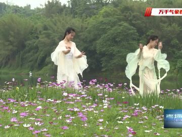 直播鹽都｜永通河畔“變形記”：從淤堵河道到網(wǎng)紅花海