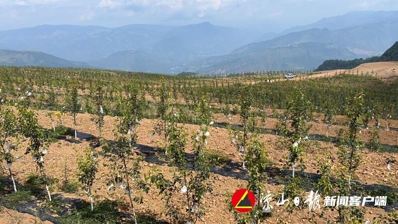 拓宽产业“老赛道” 跑出发展“加速度” 农业现代化的“美姑实践” - 自贡网 - 在这里，读懂盐都