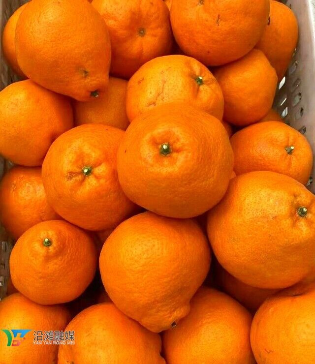 微信图片_20220303111332.jpg