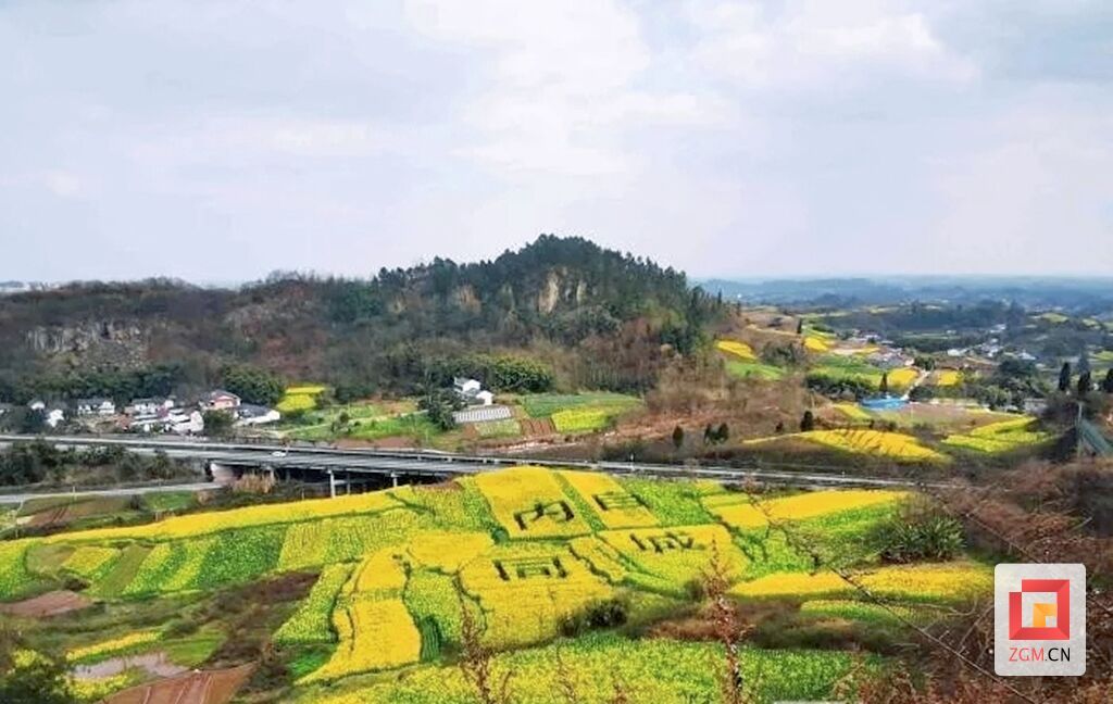 QQ圖片20220305105841.jpg