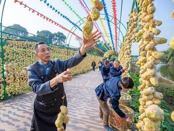 【匠心守艺·非遗⑲】龙须淡口“三腌”记：一场与时光对话的非遗传承