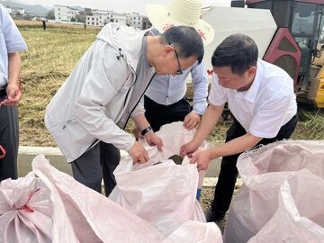 我国特早熟油菜育种取得突破