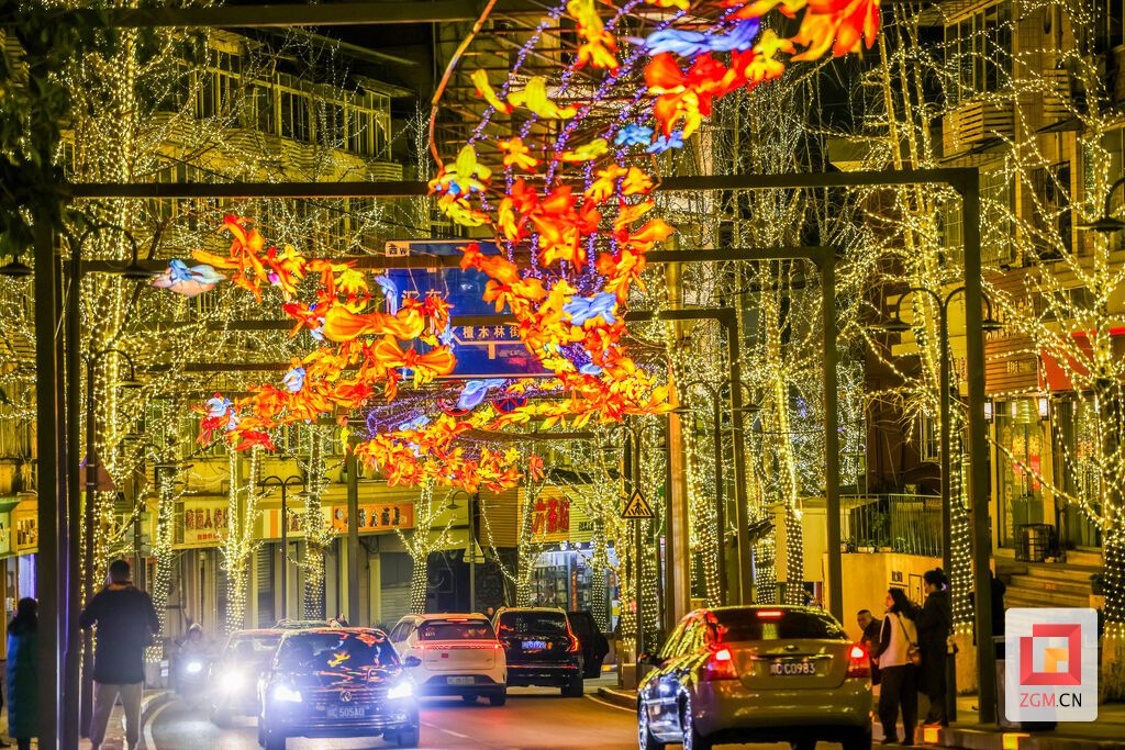 市民驻足欣赏街头璀璨的灯饰美景 记者 宋姿熠 摄.jpg