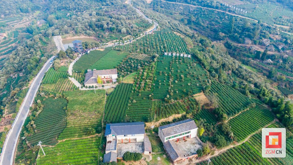 DJI_0065.jpg