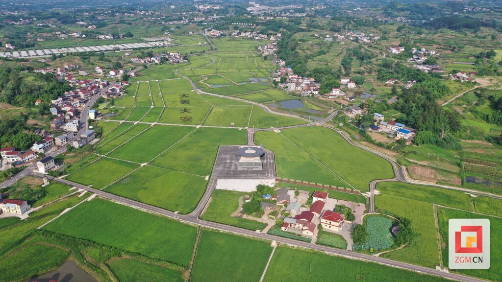 DJI_0730.JPG