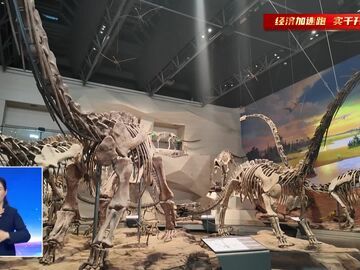 自贡新闻｜自贡恐龙博物馆恐龙遗址馆完成提升改造 预计7月下旬焕新开放