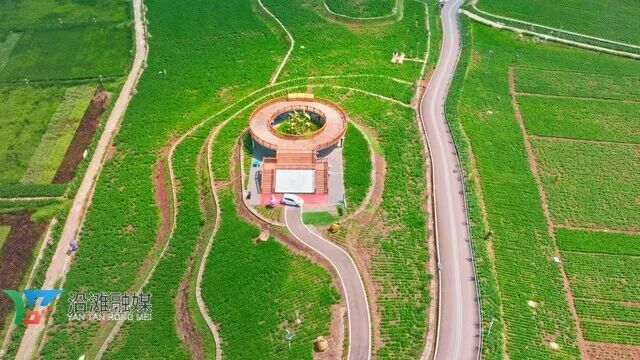 2025年1月24日,金银湖花椒大豆现代农业园区被评为四星级现代农业园区.jpg
