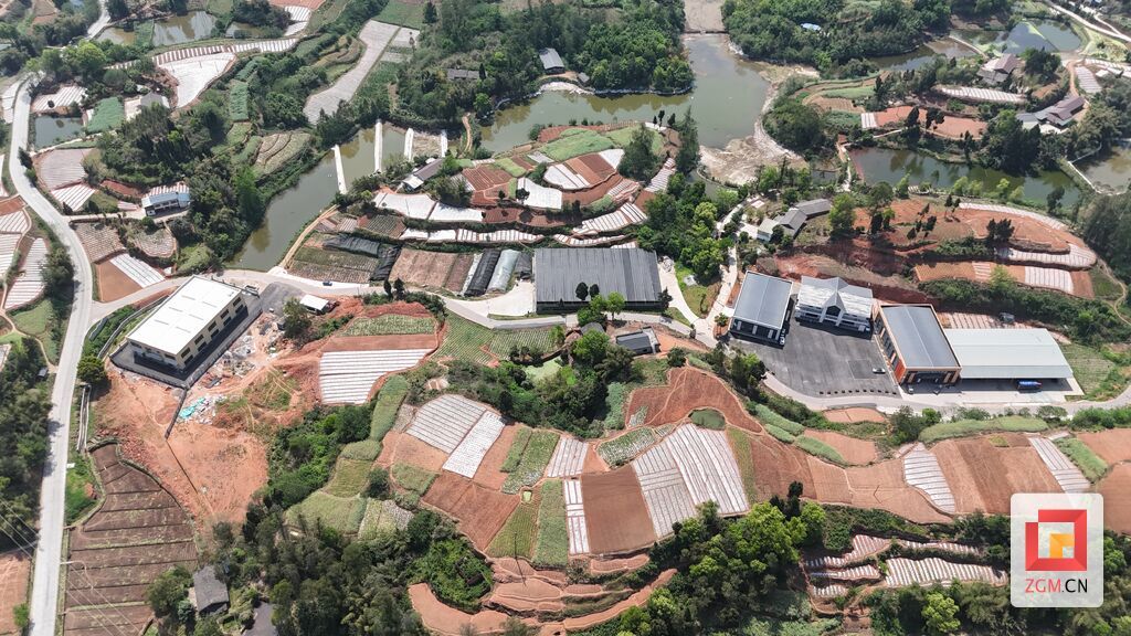 五宝粮油现代农业园区核心区,建成园区服务,农事中心、加工中心、冷链物流中心等“一服三中心”占地面25亩,建筑面积9000平米。农事服务能力达1.7万亩,粮油加工能力达3500吨,物流吞吐量达2000万吨。.jpg
