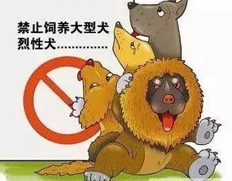 禁止饲养烈性犬.jpeg