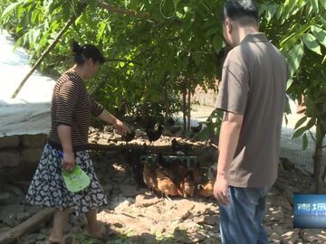 直播盐都｜精准帮扶办实事 多元赋能助振兴