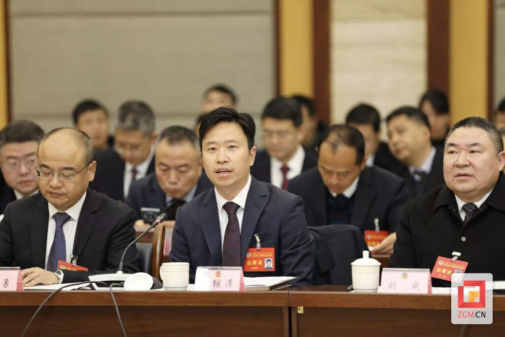 发言 罗祥瑞 摄.jpg