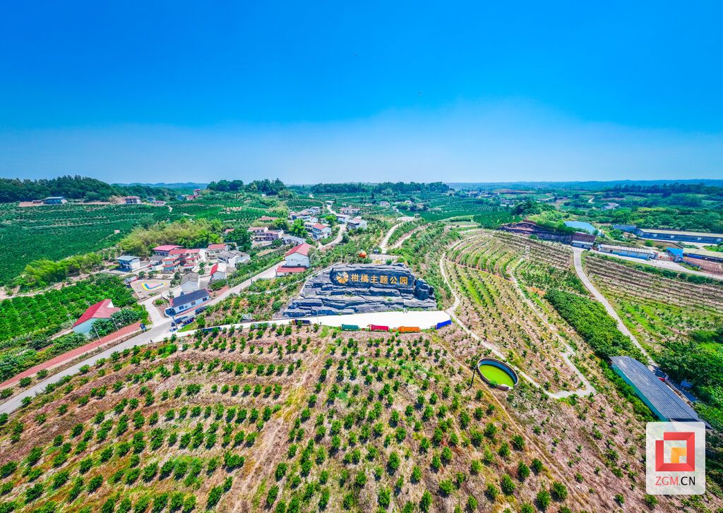DJI_20250609181709_0057_D.jpg