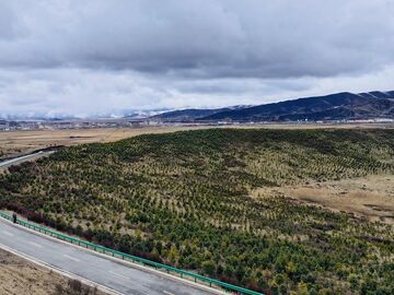 四川首个CCER造林碳汇项目成功登记，它来自一个牧区草原县丨县域新气象