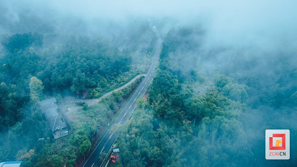 雾漫绕层林 乡路绘仙境 记者 宋姿熠 摄.jpg