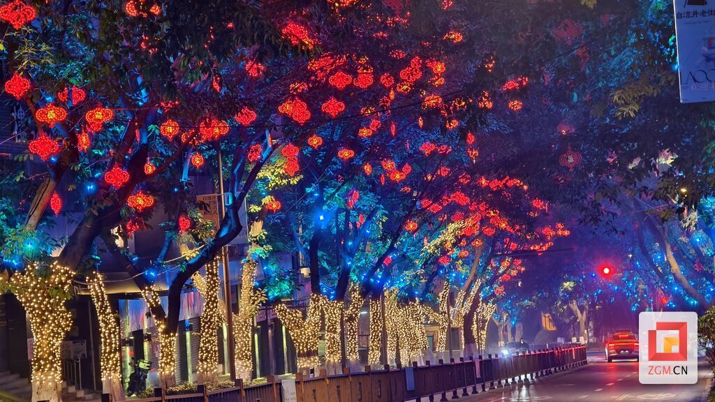 光大街道路两旁中国结 彩灯为城市增添年味 记者罗祥瑞摄.jpg