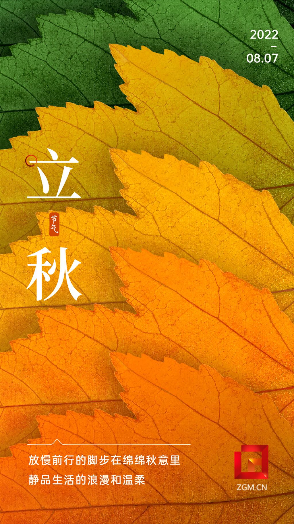 立秋2.jpg