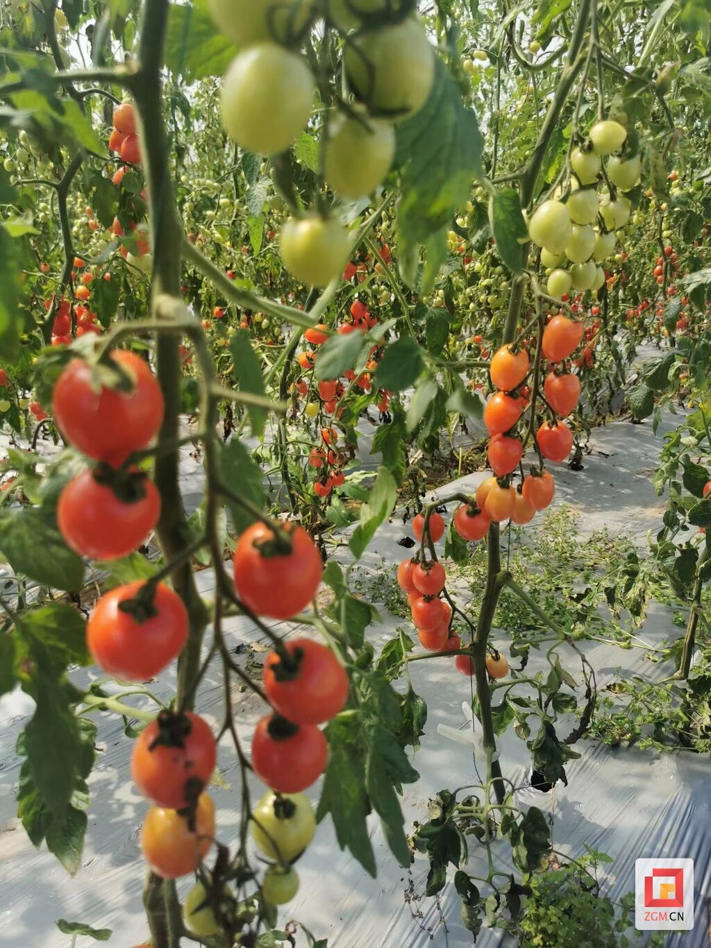 微信图片_20220426092610.jpg