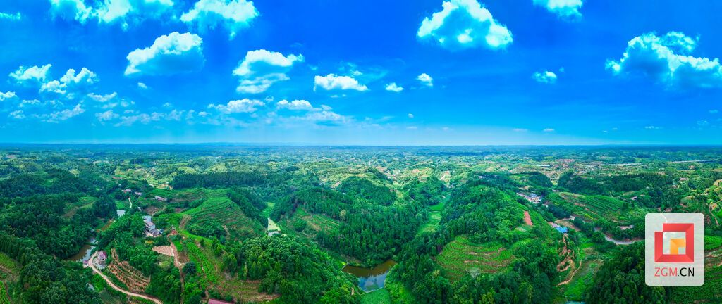 荒坡治理后,桑园遍山头,入眼皆是青翠。.jpg