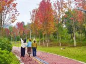 宜家河滨河公园风景如画