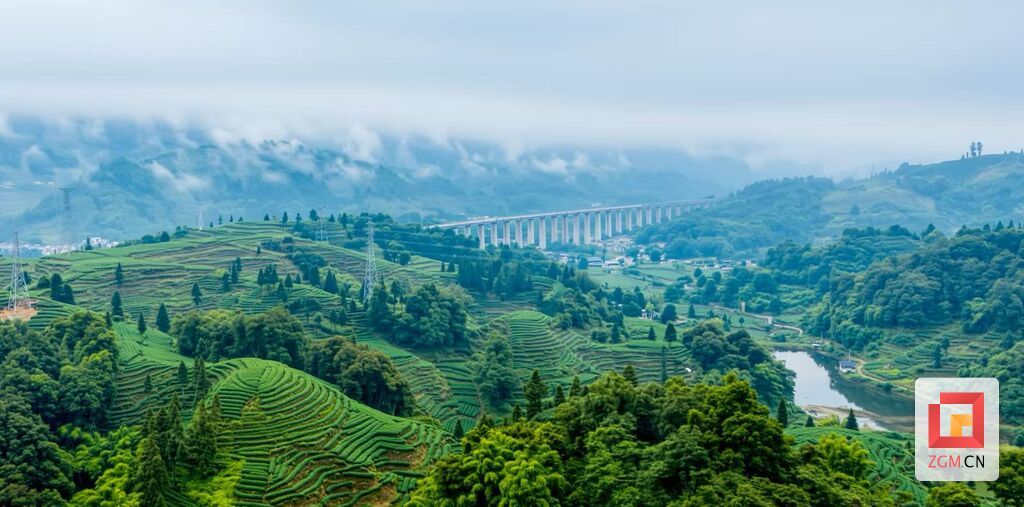 千里江山图景区茶山.jpg