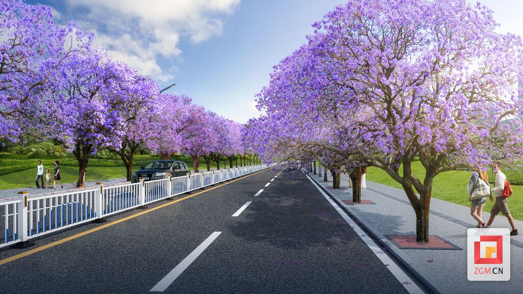 道路沿线的蓝花楹(效果图).jpg
