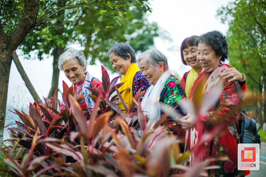 10月14日重阳节，老人们相约在文创公园欢度节日，脸上洋溢着幸福的笑容。（宋姿熠 摄）