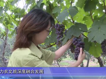 自贡新闻｜自贡：端午氛围别样浓 农文旅体好戏连台