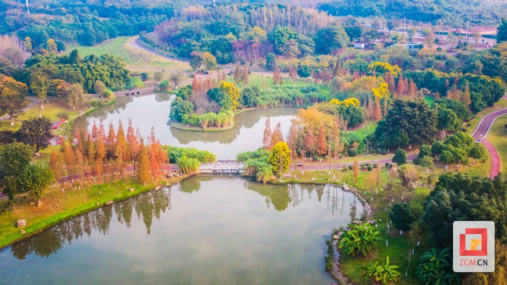 花海層林盡染，遠(yuǎn)遠(yuǎn)望去，美不勝收。.jpg