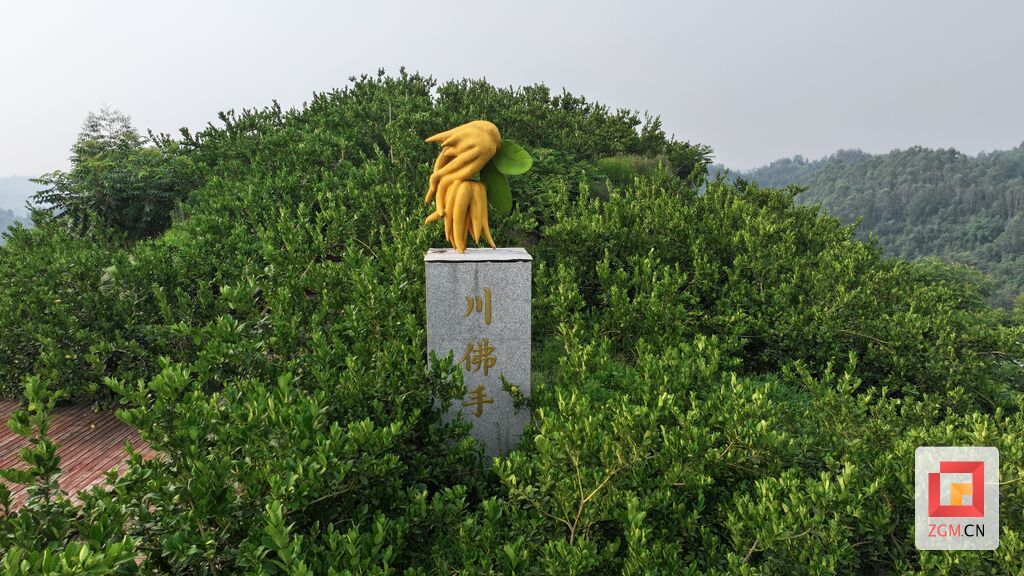 微信圖片_20250817235507.jpg