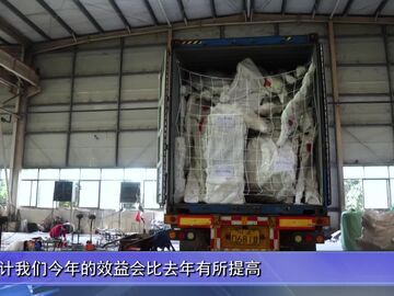 自贡新闻｜盛夏淬华彩 自贡彩灯出口再升温