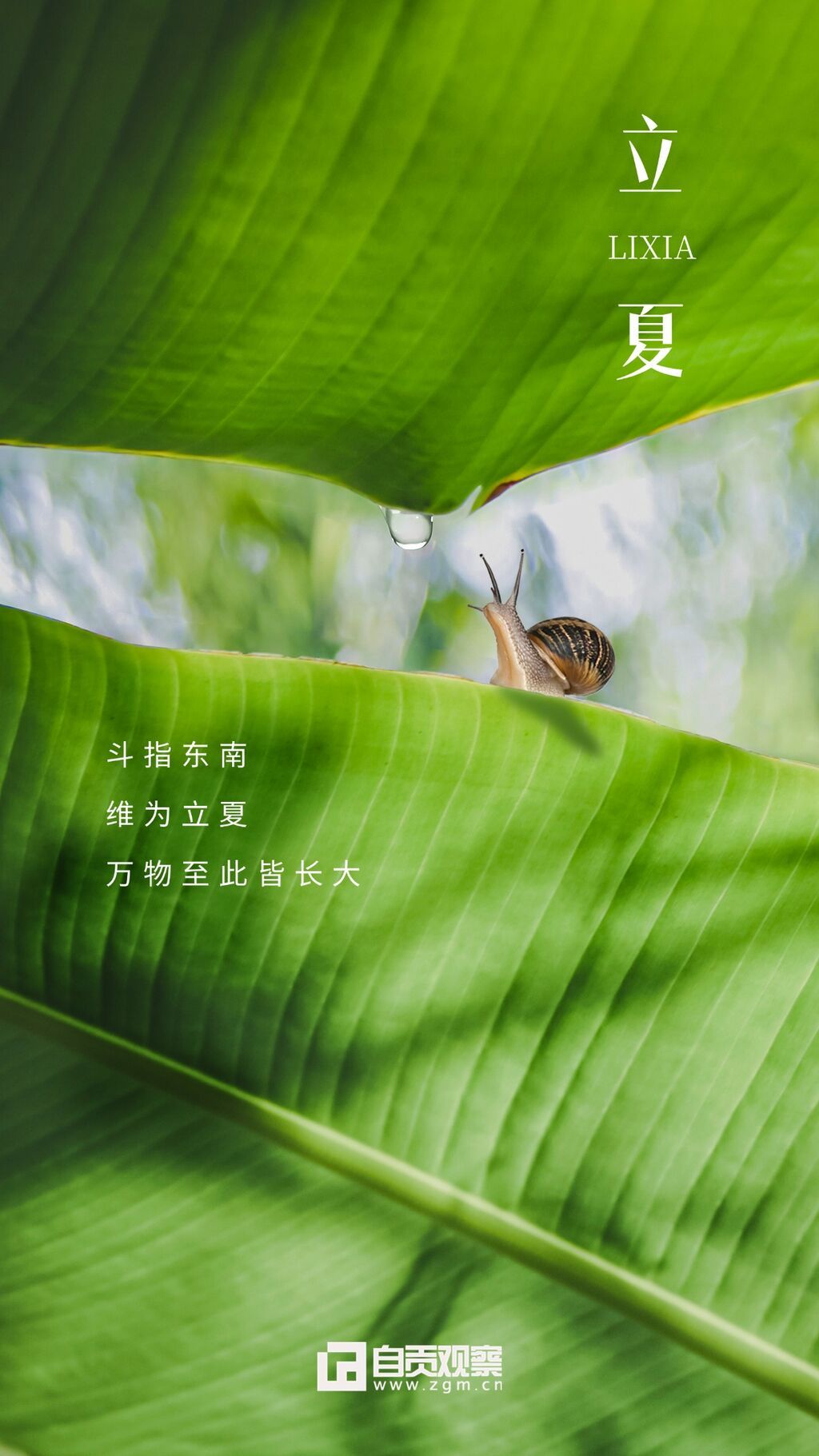 立夏節(jié)氣實景曬圖祝福問候海報2.jpg