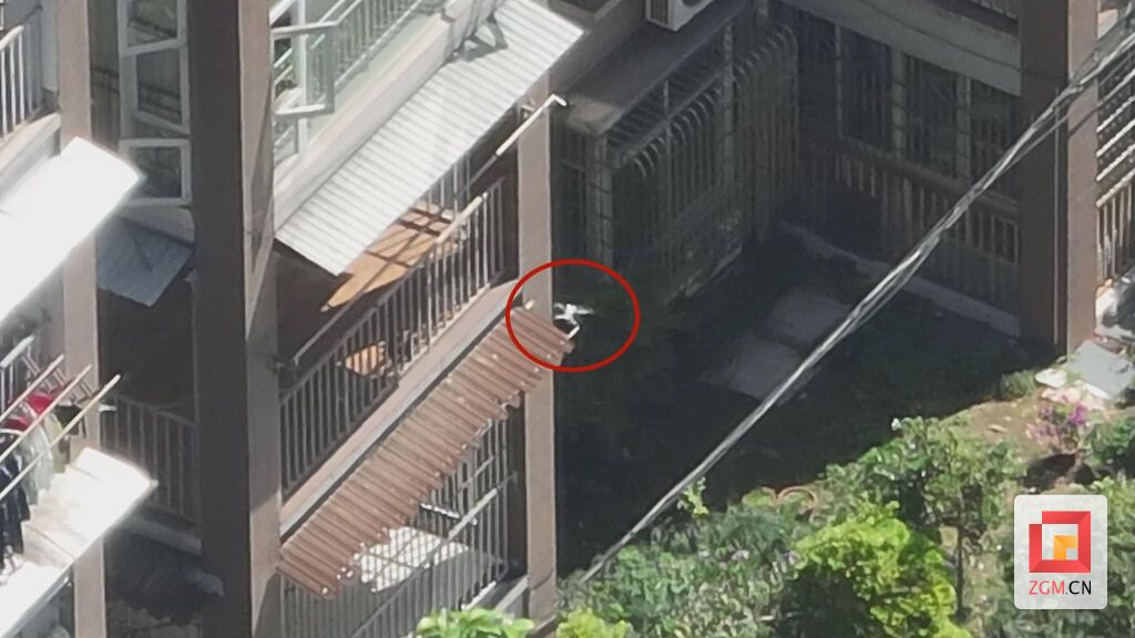 微信圖片_20240517120935.jpg