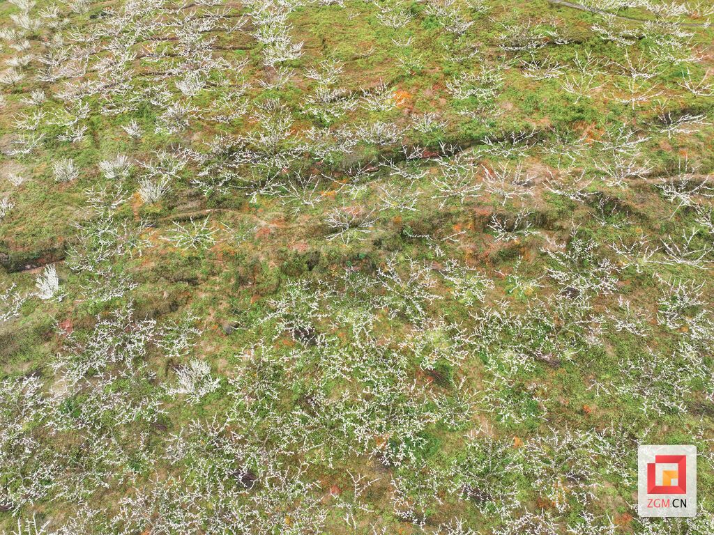 DJI_0150.JPG